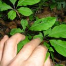 현일고등학교 이미지