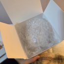 염색 손상모 샴푸, 약산성 앙코 카멜리아 단백질샴푸로 찰랑찰랑 머릿결관리 성공!