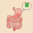 다제스팜 이미지