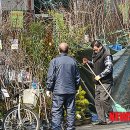 나무메드 이미지