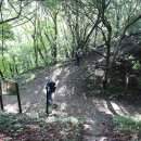 참새콘도민박 Daum카페