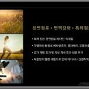 더블비