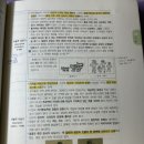 Re: 각론2 미술 p.139 버트의 서술적 상징기와 서술적 사실기 구분 이미지