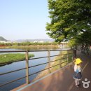 황금비늘 테마거리 이미지