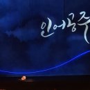 창의블럭B | 국립발레단 인어공주 후기 예술의 전당 오페라극장 2층 B블럭 1열 시야