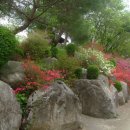 꿈에궁전 이미지