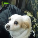 돌고래당구장 이미지