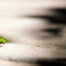 박정경 | 3월 31일 공매도가 재개되면 내 계좌는