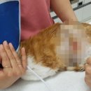대은화학