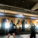 더 리얼 짐 이미지