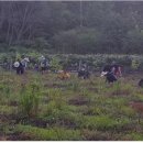 경기과학기술대학교 이미지