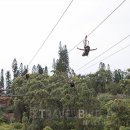 기청농장 이미지