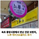 느루디저트 커피 | 속초 중앙시장에서 만난 건강 브런치, 느루 케이크&amp;샐러드 후기🌿