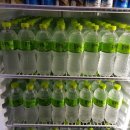 카라모텔 이미지