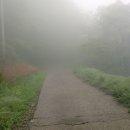 일봉목장 이미지