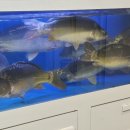 역전제일약국 이미지