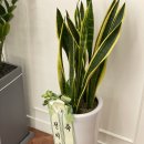 지민혁 PT STUDIO 이미지