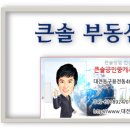 큰솔공인중개사사무소 이미지