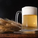 하루한잔 이미지