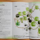 부산 기장군-아홉산대나무 숲 이미지