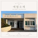 펠롱스테이in애월 | 제주 애월 숙소 추천 감성 독채 애월오제에서 보낸 하루! (반려견가능!)