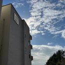 강구식자재마트 앞 이미지