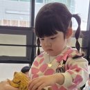 미어캣