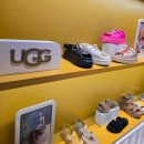 골든글로우 - 서초구 강남대로2길 70 | 돌아온 여름 샌들의 계절! 어그 UGG 골든글로우 4종 추천 사이즈 실착 후기