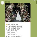 엘로디 | W8. 엘로디스냅 후기 | 아이폰 스냅 추천