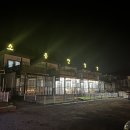 [가평 애견펜션 퍼플] 고양이랑 가평 여행? 진짜 가능한 펜션 찾았다! (feat.내돈내산)