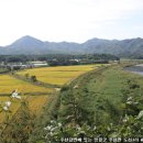 도천1리마을회관 이미지