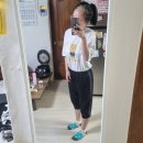 세븐일레븐 안성점 이미지