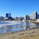 영일대해수욕장 갈매기화장실 이미지