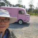 181카페 이미지