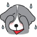 이든 동물의료센터 이미지