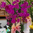 행정사 김현득 이미지