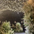 쌍용회관 앞길 L | 이은혜 사회자와 함께한 전주 더케이 웨딩홀 예식 영상