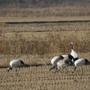 아성2농장 이미지