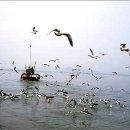 인천광역시 강화군 삼산면사무소 이미지