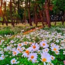 소용경로당 이미지