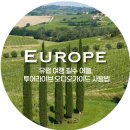 태리라이브 | 유럽 여행 필수 어플, 투어라이브 오디오가이드 후기, 사용법 (피렌체 우피치미술관 투어·그라나다...