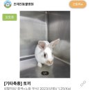 조재진동물병원 이미지