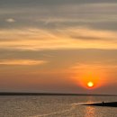 느티나무야영장 이미지