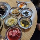 숯과닭발 티스토리