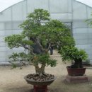 소사농원 이미지