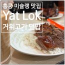 거기가 | 홍콩 미슐랭 1스타 거위구이집 Yat Lok 얏록 거위덮밥 먹은 후기