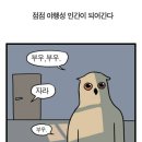 야행성 이미지