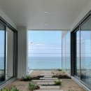 비너스타 이미지