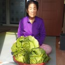 용일농장 이미지