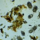 서울88동물의료원 이미지